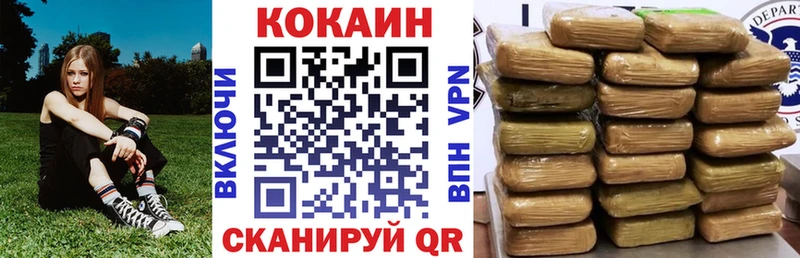 Купить закладки  Судогда  Кокаин Fish Scale 
