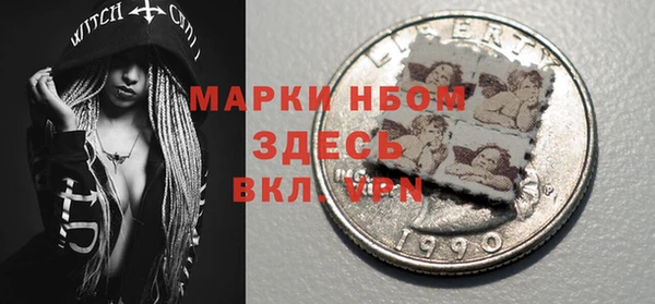 прущие грибы Балабаново