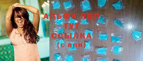 прущие грибы Балабаново