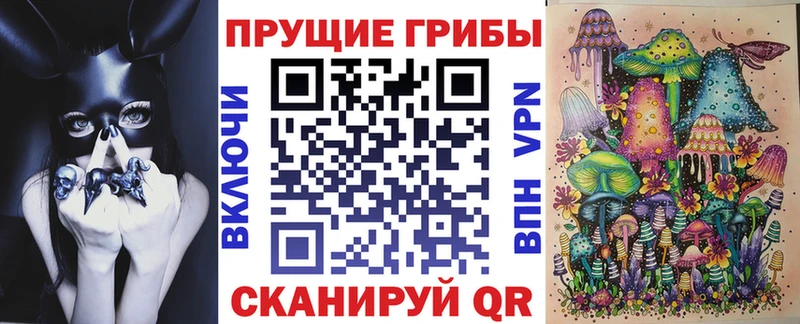 Псилоцибиновые грибы мухоморы  Купить закладки  Судогда 